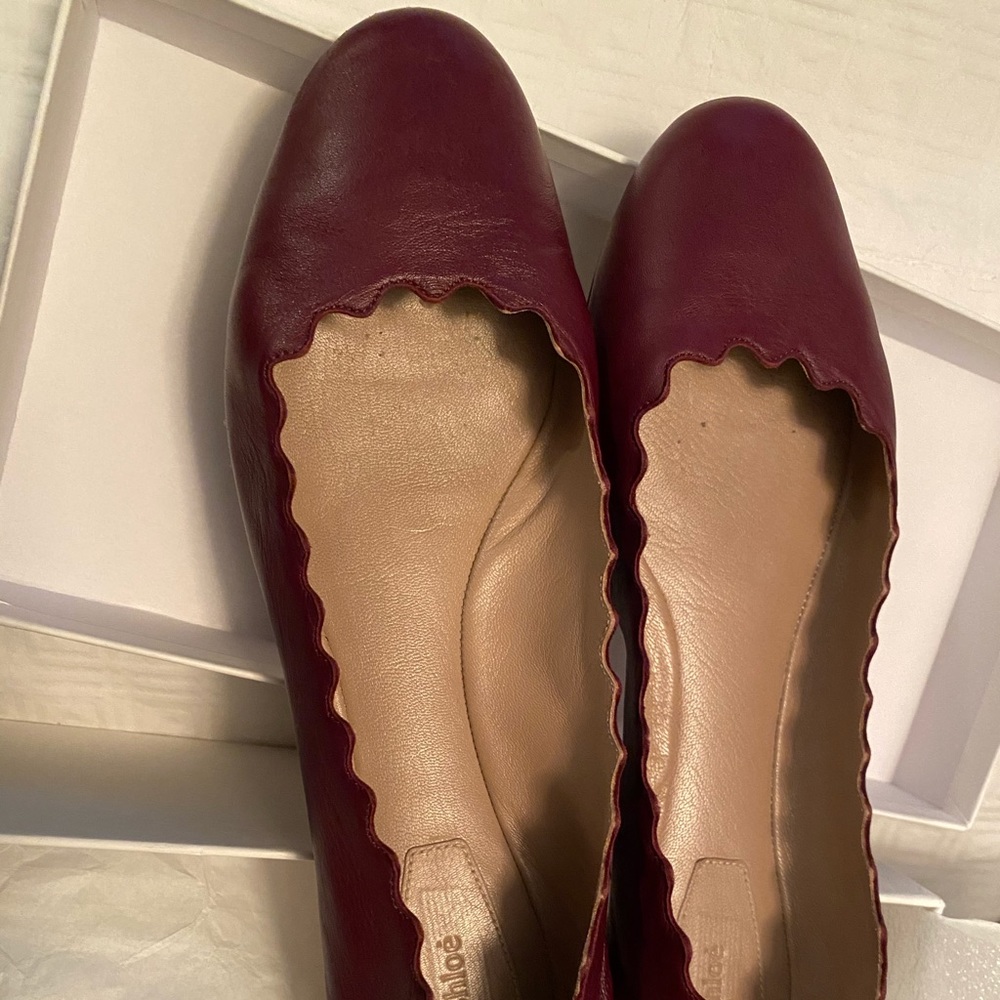 Chloe scalloped burgundy flat